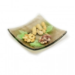 Serving bowl ABSAE