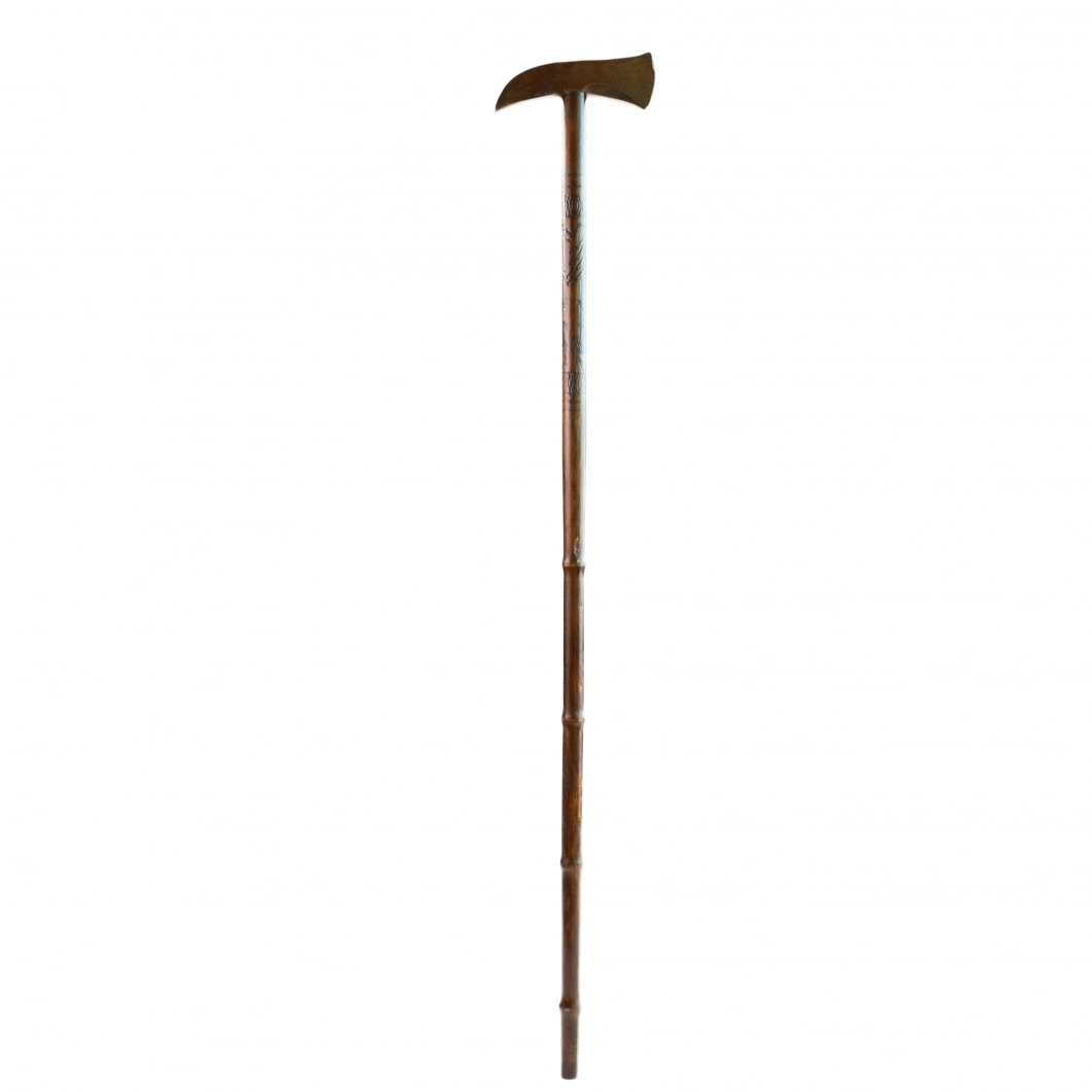 Walking Stick - RUNI