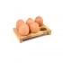 Egg holder - 6 eggs 16 x 10 x 2.5 cm FLORYA 1