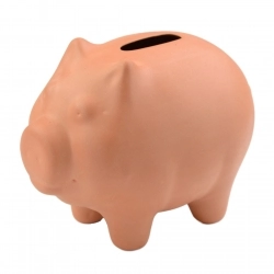 Piggi bank - PIG
