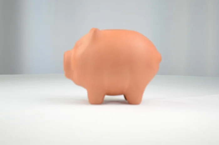 3D Piggi bank - PIG
